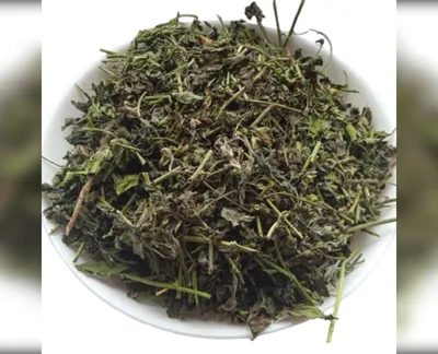 5 кг шпинат трава сушена spinacia oleracea-harvy.market