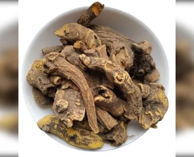 5 кг щавель кінський корінь rumex confertus-harvy.market