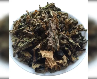 5 кг щавель кінський листя rumex confertus-harvy.market