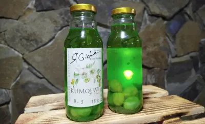 Kumquat in Love Зелений-harvy.market