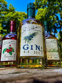 GIN цитрус 35%-harvy.market