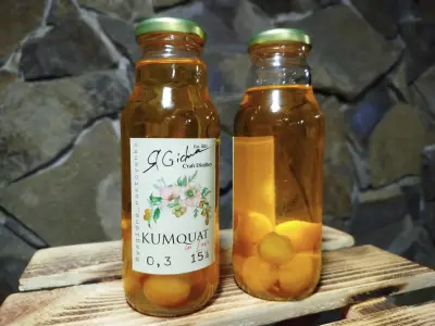 Kumquat in Love Жовтий -harvy.market