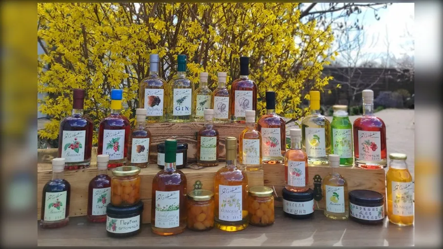 Настоянка "Вишня" 35% 500 мл, ЯGidna - 3