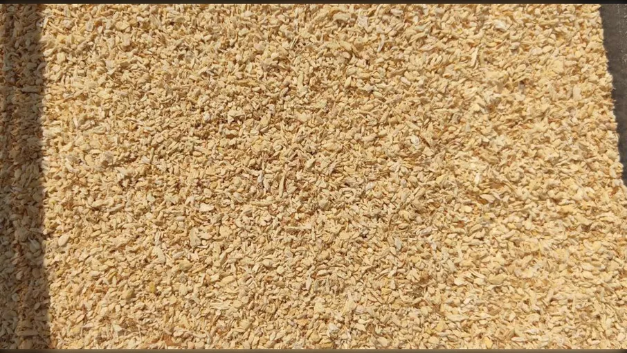 Гриб Їжовик гребінчастий, цільний/мелений, 100 г - 3