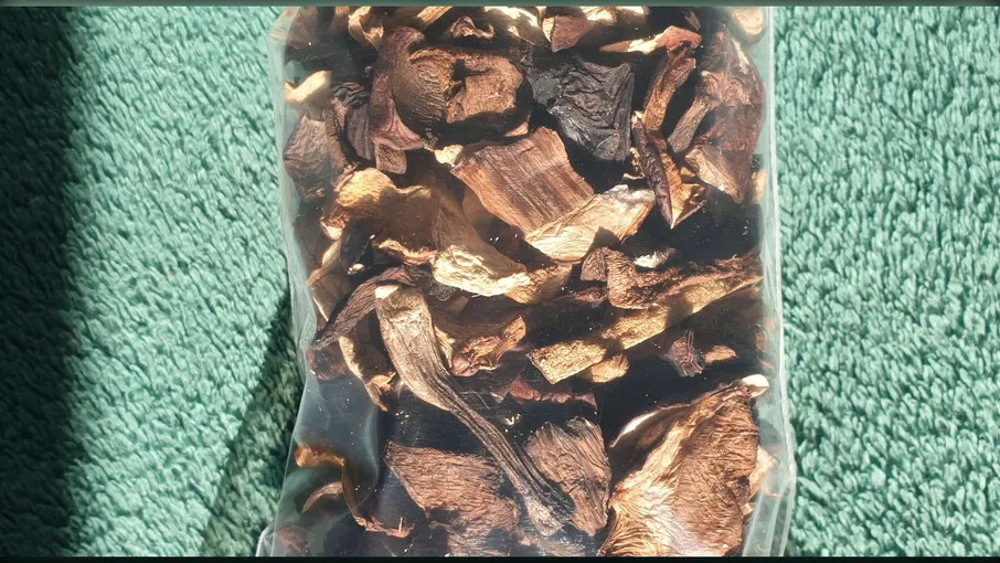 Гриби лісові сушені - 1