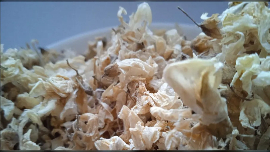 5 кг акація квіти робінія robinia pseudoacacia - 2