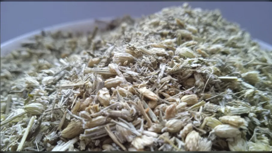 5 кг деревій трава тисячолистник achillea  - 2