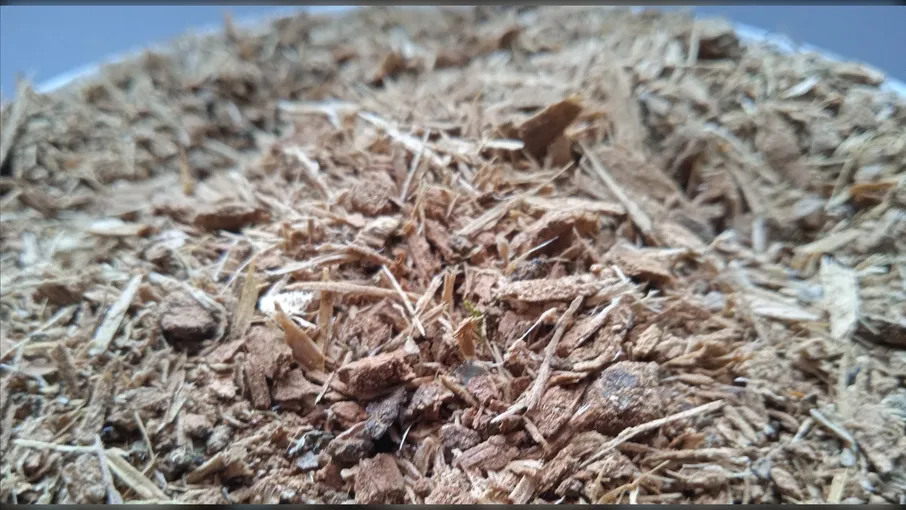 5 кг дуб кора quercus robur - 2