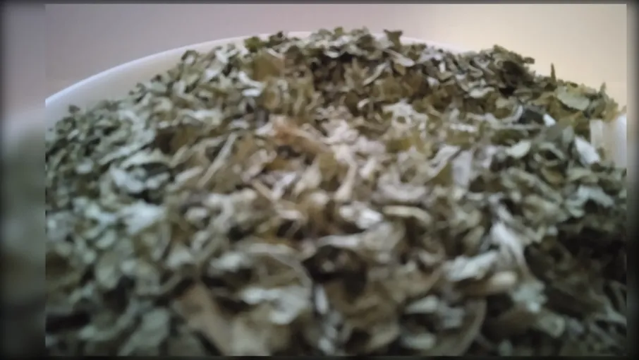 5 кг подорожник великий листя порізник plantago - 2