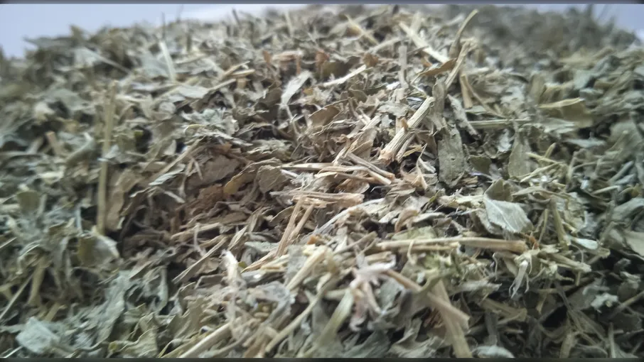 5 кг спориш трава шпориш polygonum aviculare - 2