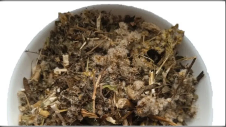 5 кг золотарник трава золотушник solidago - 2