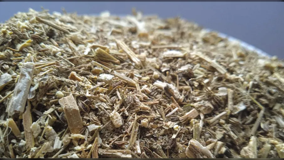 5 кг боліголов трава блекіт буглав conium - 3