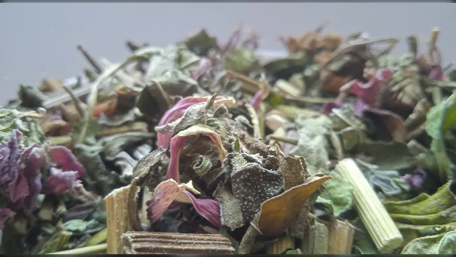 5 кг ехінaцея трава рудбекія echinacea purpurea - 3