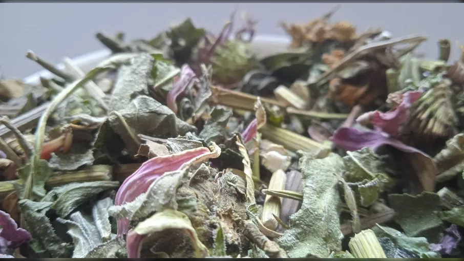 5 кг ехінaцея трава рудбекія echinacea purpurea - 2