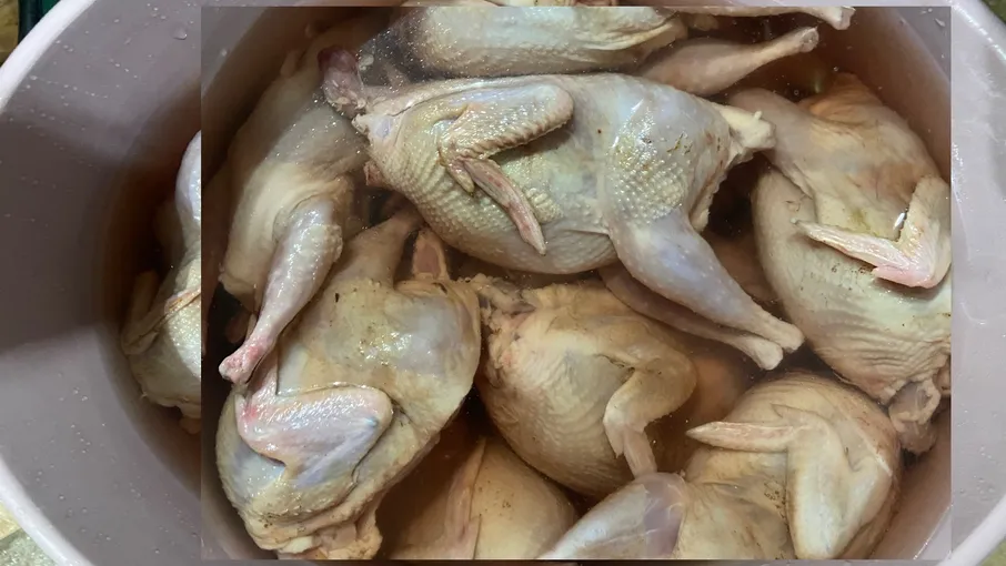 Мʼясо перепелів  - 4