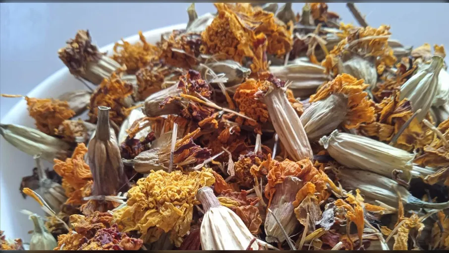 5 кг чорнобривці квіти бархатці tagetes patula - 2