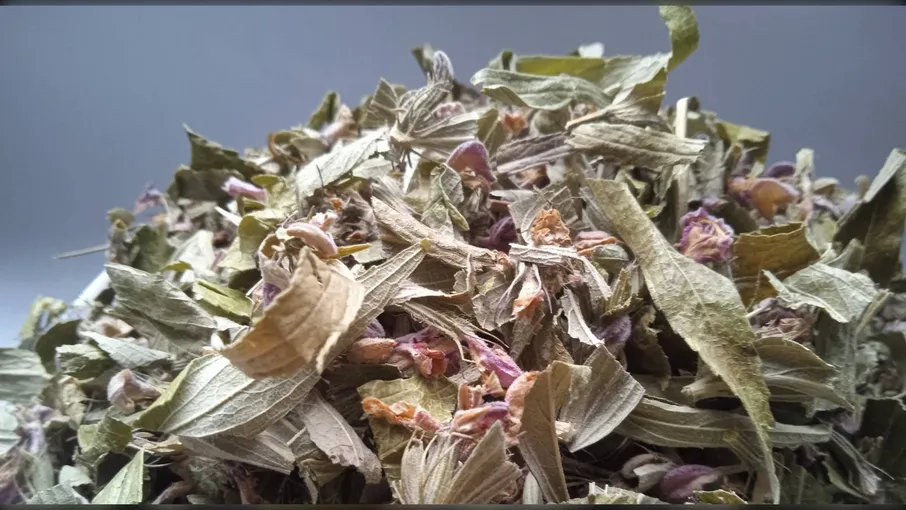 5 кг залізняк колючий трава зопник phlomis - 2