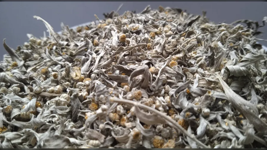 5 кг полин гіркий трава віниччя artemisia - 2