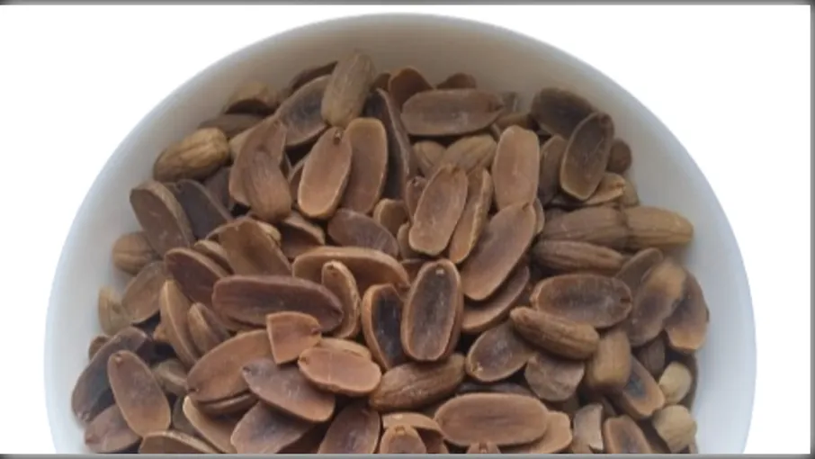 5 кг жолуді quercus robur - 2