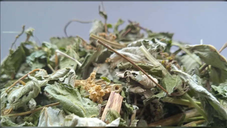 5 кг лабазник трава тавогла балабан filipendula - 2