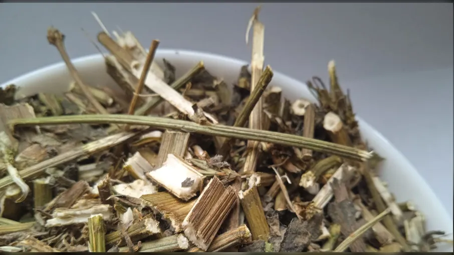 5 кг цикорій трава cichorium endivia - 2