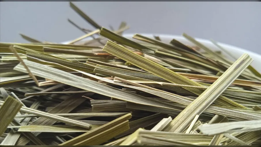 5 кг чаполоч пахуча трава зубрівка hierochloe - 2