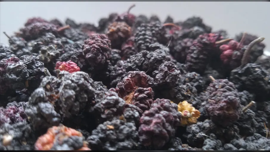 5 кг шовковиця плоди morus nigra - 2