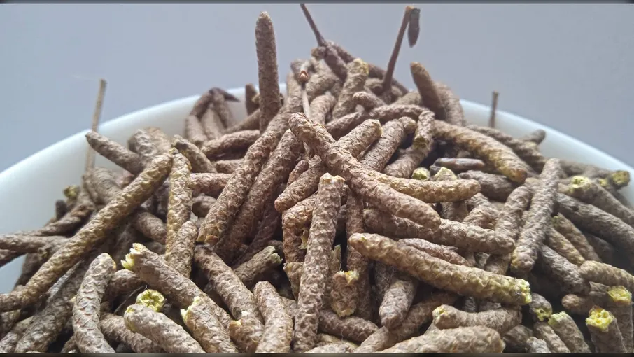 5 кг береза сережки betula pendula - 2
