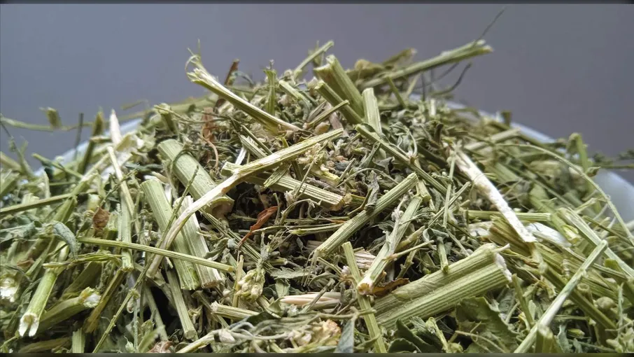 5 кг буркун білий трава сушена melilotus albus - 2