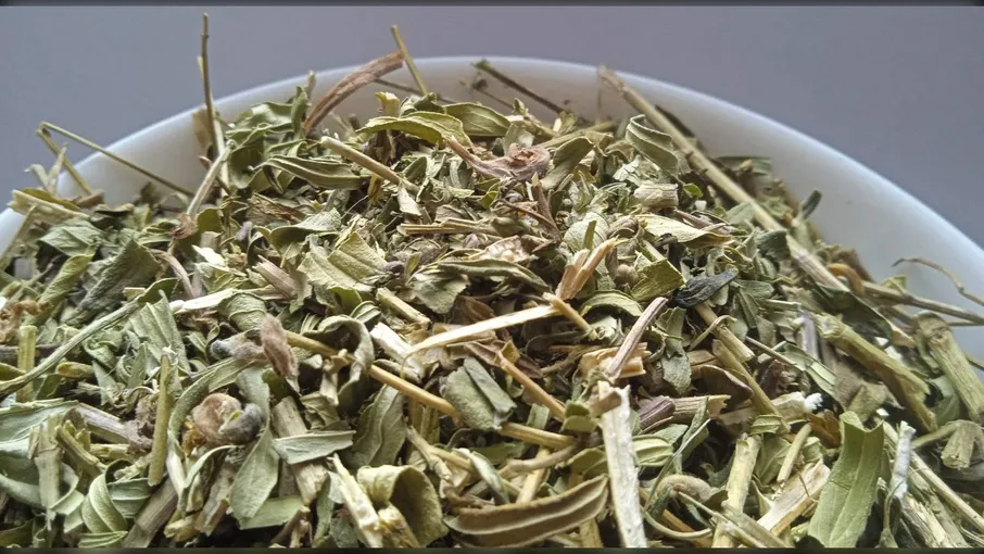5 кг галега трава козлятник galega officinalis - 2