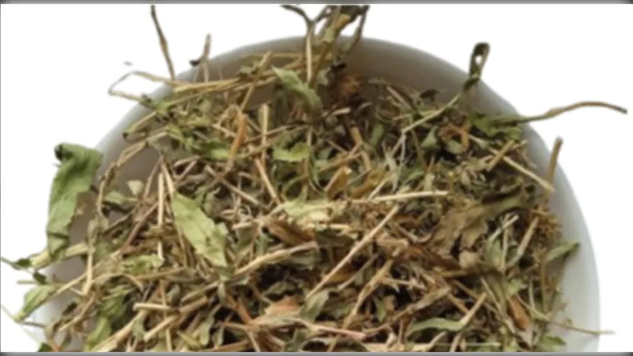 5 кг гринделія трава grindelia squarrosa - 2