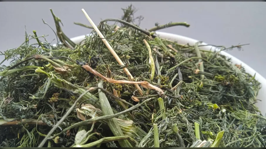 5 кг Кріп укроп трава Anethum graveolens - 2