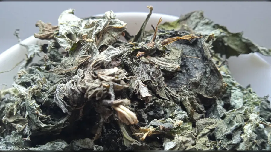 5 кг лопух листя репяшник репях arctium lappa - 2