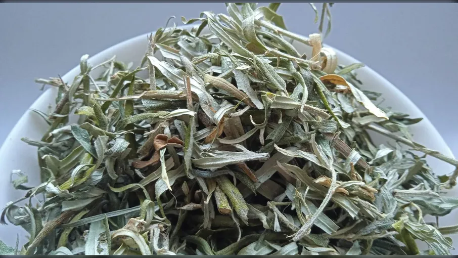 5 кг Обліпиха листя Hippophae rhamnoides - 2