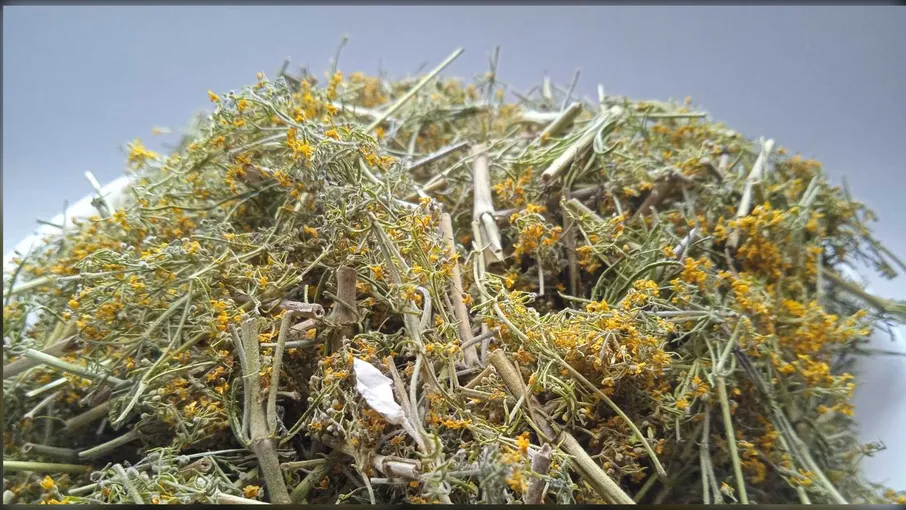5 кг підмаренник трава galium verum - 2