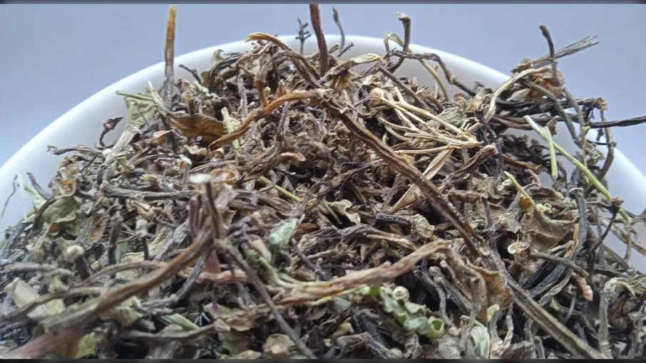 5 кг портулак городній трава portulaca oleracea - 2