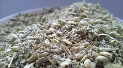 5 кг деревій трава тисячолистник achillea  - 1