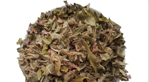 5 кг залізняк колючий трава зопник phlomis - 1