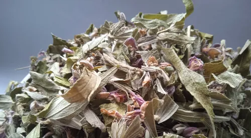 5 кг залізняк колючий трава зопник phlomis - 2