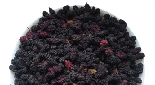 5 кг шовковиця плоди morus nigra - 1