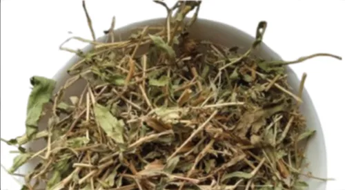 5 кг гринделія трава grindelia squarrosa - 2
