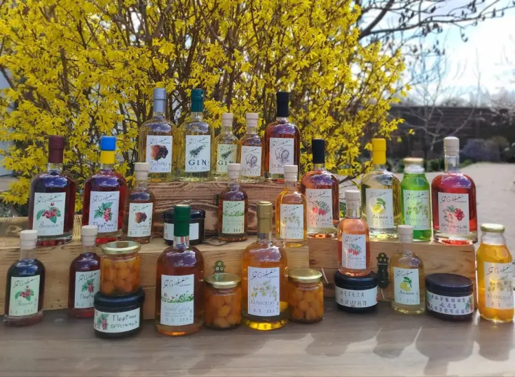 Настоянка "Kumquat Жовтий" 18% 300 мл, ЯGidna - 2