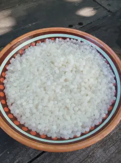Ікра равлика (Snail Caviar)-harvy.market